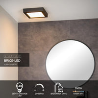 Lucide BRICE LED bathroom ceiling light, dimmable 22W 3000K IP44, square 220mm Matt Black