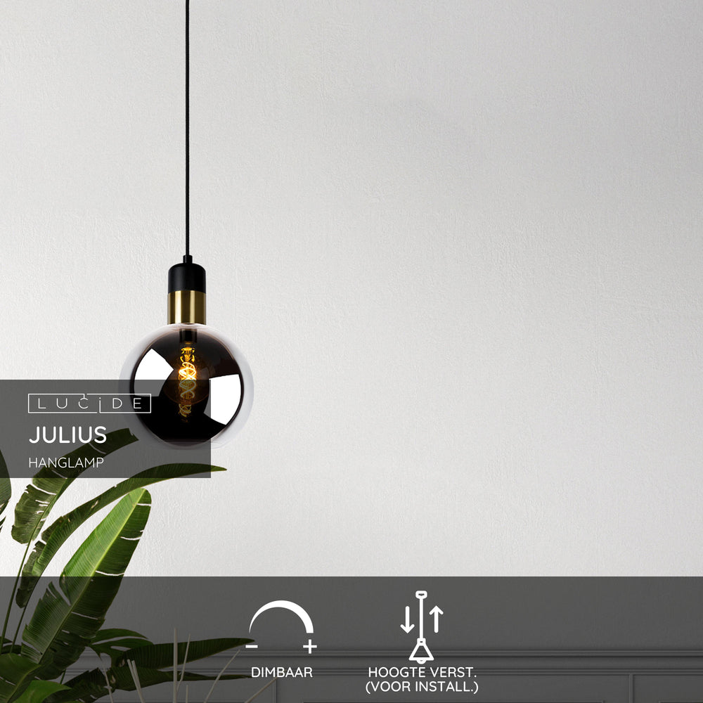 Lucide JULIUS hanging lamp, 1xE27, smoke glass shade Ø20cm, black wood and gold metal, 220-240V, IP20
