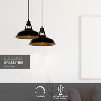 Lucide BRASSY-BIS hanging lamp Black, 1xE27 socket, adjustable height, round metal shade Ø31cm, IP20