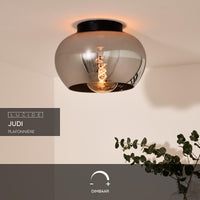 Lucide JUDI ceiling light Ø30.5cm, smoke glass, 1xE27, dimmable, modern style, metal frame, IP20