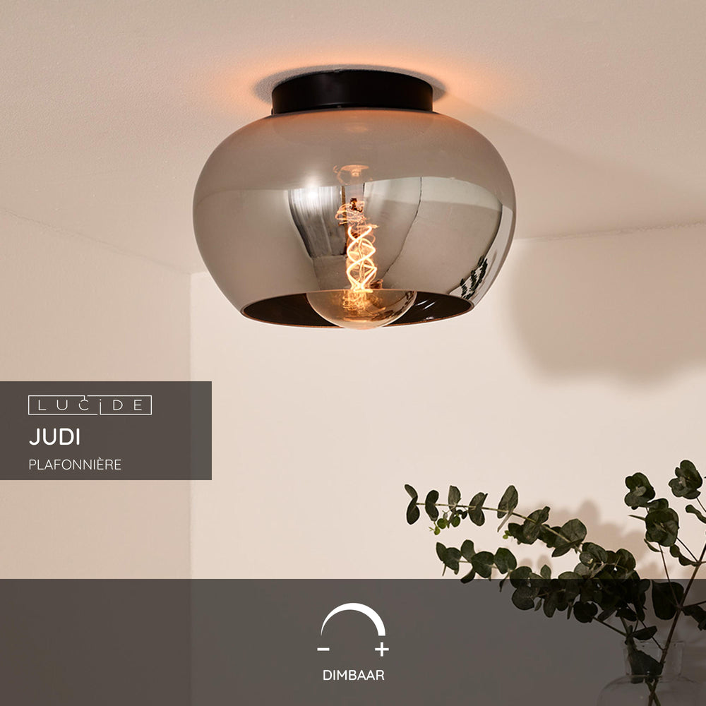 Lucide JUDI ceiling light Ø30.5cm, smoke glass, 1xE27, dimmable, modern style, metal frame, IP20
