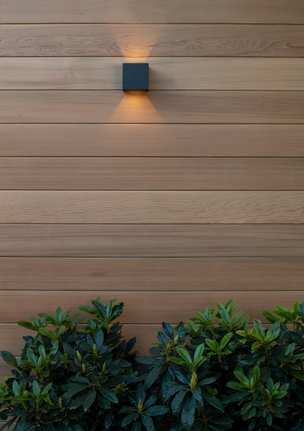 Lucide AXI LED Wandleuchte, 2x7W 2700K, IP54, einstellbarer Abstrahlwinkel, Schwarzes Aluminium, moderne Badezimmerbeleuchtung