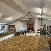 Ledvance LED Feuchtraumleuchte 1500mm 50W 4000K 6500 Lumen IP67 IK06 Kaltweiß Deckenmontage