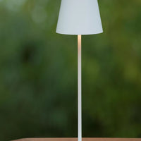 Lucide LED Lampe 1521 nützliche Lumen, 3000K, 10.5W, 1250W Ersatz, Aluminium matt gold