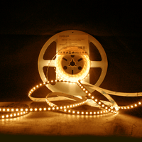 Modee LED Strip DC12V 9.6W/m 120LED/m 1080 lumens IP20 2700K 8mm Single Color Copper 5m Roll