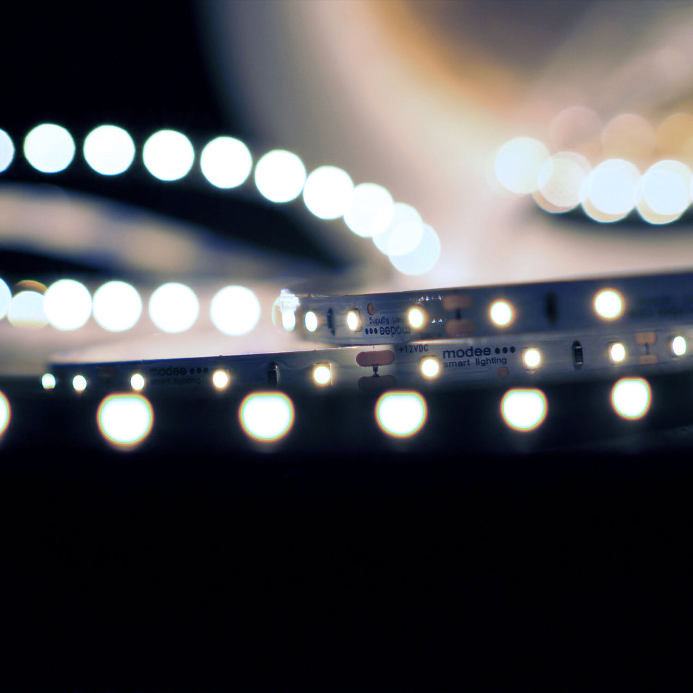 Modee LED strip silicone 12V 4.8W/m 60LED/m 540 lumens/m IP65 6000K CRI 90 5m roll