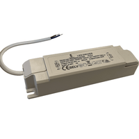 Tsong LED-Treiber 40W 27-42V 1000mA nicht dimmbar