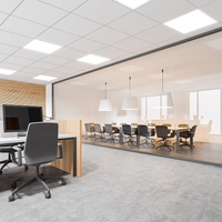 Philips LED-Panelleuchte 595x595mm 22W-31W 3000K-4000K 2900-4300 Lumen DALI dimmbar UGR19 IP20/44 Weiß