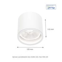 Spectrum CHLOE AR111 GU10 Deckenleuchte Aufbau IP65 Weiß Aluminium 250V Innen Außen