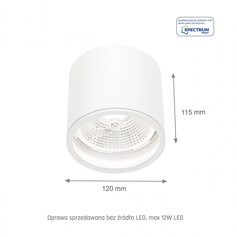 Spectrum CHLOE AR111 GU10 Deckenleuchte Aufbau IP65 Weiß Aluminium 250V Innen Außen