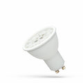 Spectrum LED GU10 Lampe 230V 6W CCT 6000K 550 Lumen 38° Abstrahlwinkel Weißes Gehäuse CRI 80 Nicht dimmbar